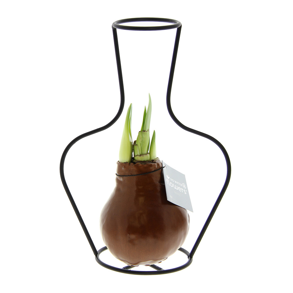 No Water Flowers® - Formz classic, In luxury box, Pastel paars - Koper