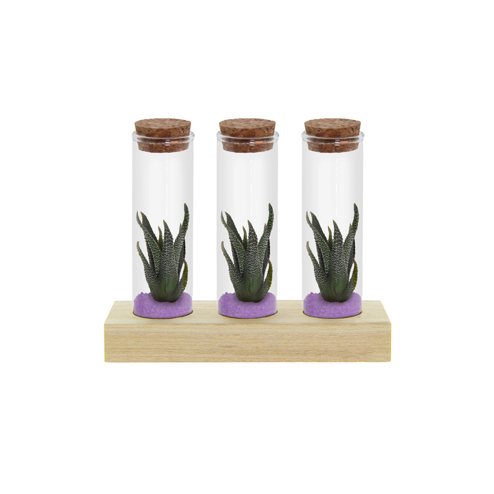 Tiny Treasurez® - Trio tube & wood - Paars