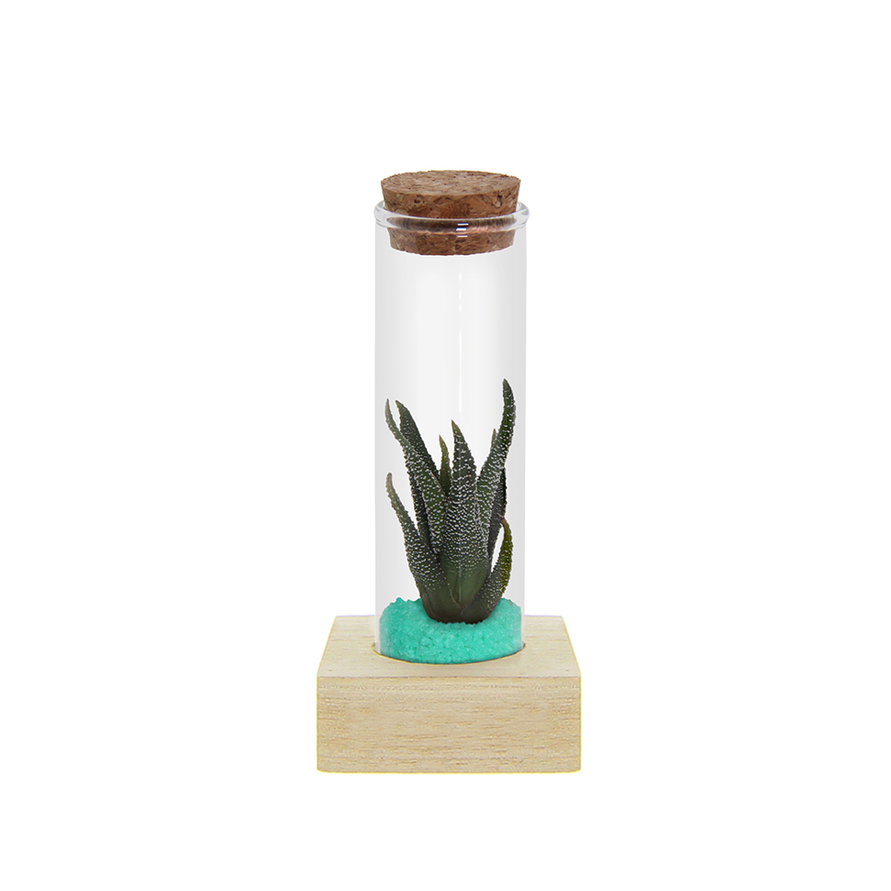 Tiny Treasurez® - Single tube & wood - Turquoise