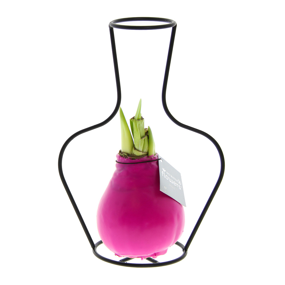 No Water Flowers® - Formz classic, In luxury box, Pastel paars - Roze